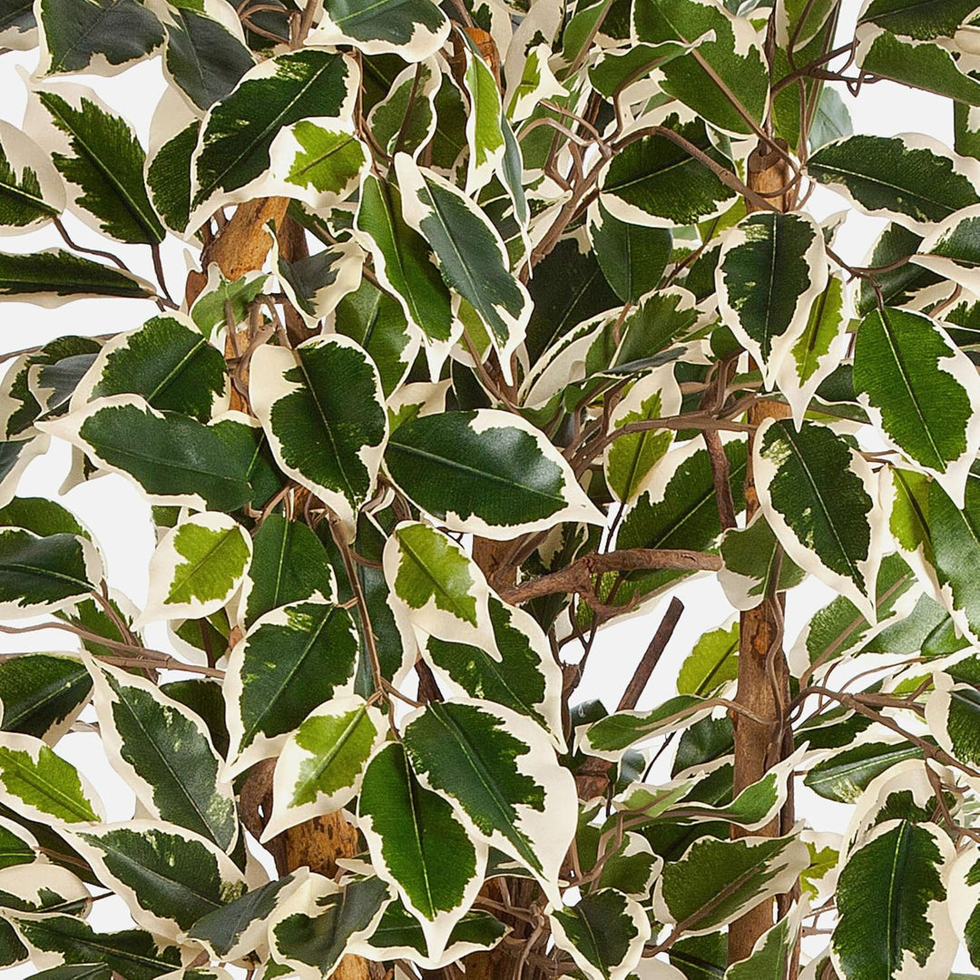 artplants.de Deko Ficus JARLAN, 430 Blätter und lianenartigem Stamm, grün-weiss, 120cm - Kunst Ficus