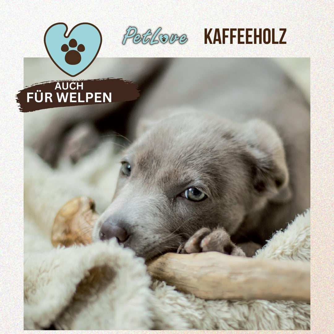 Kaffeeholz für Hunde • Kauholz Hund als Hundespielzeug & Zahnpflege • Holzknochen für Hund • Ohne Ko
