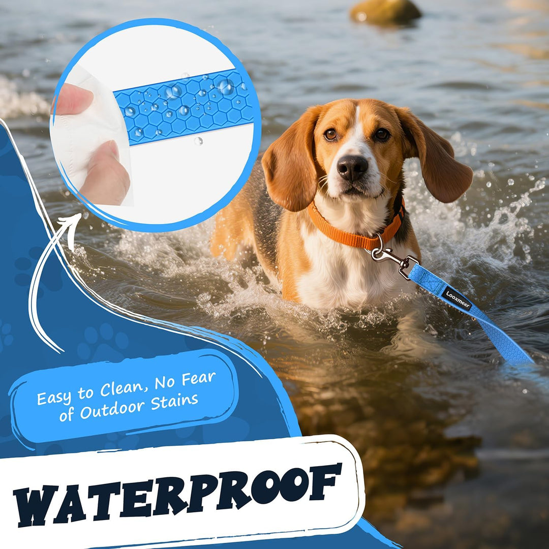 Looxmeer Schleppleine für Hunde, 3m /5m /7m /10m /15m /20m /25m /30m Robuste Trainingsleine mit Aufb