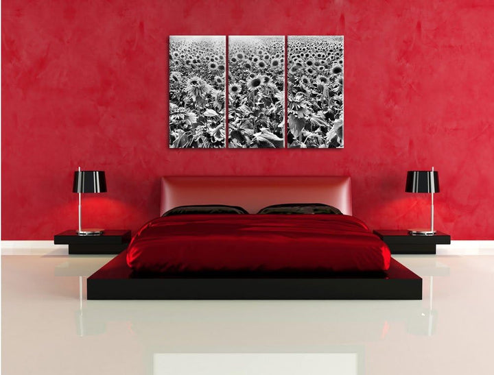 Pixxprint Riesiges Sonnenblumenfeld als Leinwandbild/Grösse: 3 Teilig (120x80) cm/Wandbild/Kunstdruc