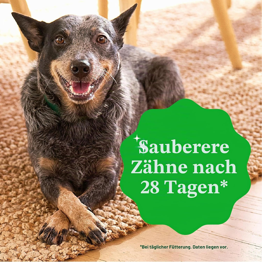 Greenies Original Hundesnacks für die Zähne 1 stück (65er Pack), 1 stück (65er Pack)