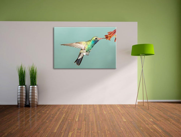 Pixxprint Bunter Kolibri Format: 100x70 auf Leinwand, XXL riesige Bilder fertig gerahmt mit Keilrahm