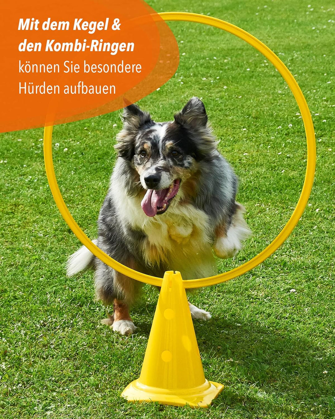 Kombi Kegel 30 – 4er Set – für den Aufbau von Hürden- oder Slalom-Parcours für Agility-Training – Sp