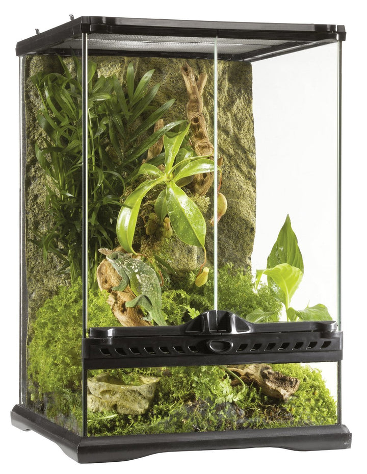 Exo Terra Terrarium aus Glas, mit einzigartiger Front Belüftung, 30 x 30 x 45cm schwarz 30x30x45cm,