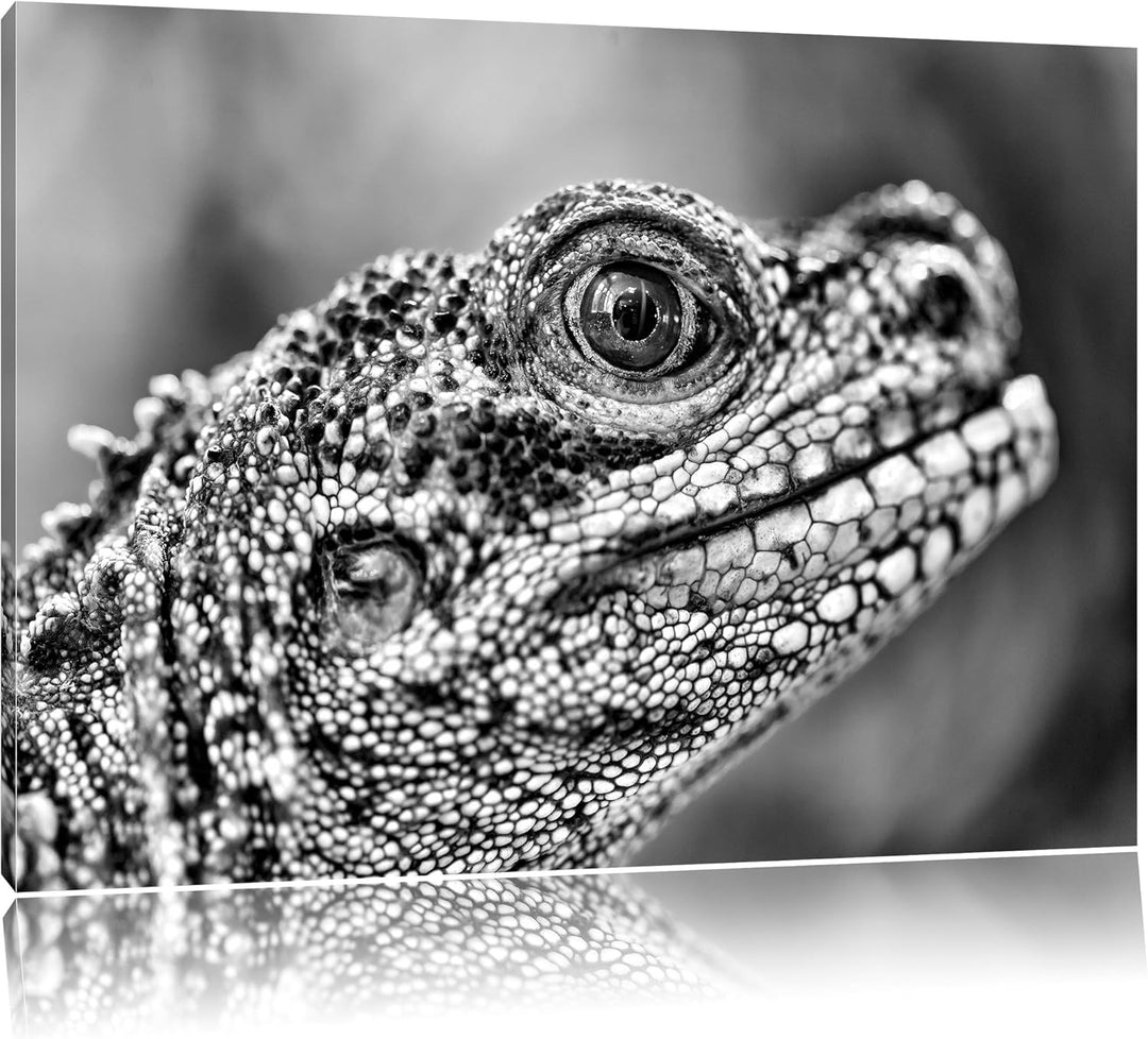 Pixxprint grosser Schuppenwaran als Leinwandbild/Grösse: 100x70 / Wandbild/Kunstdruck/fertig bespann