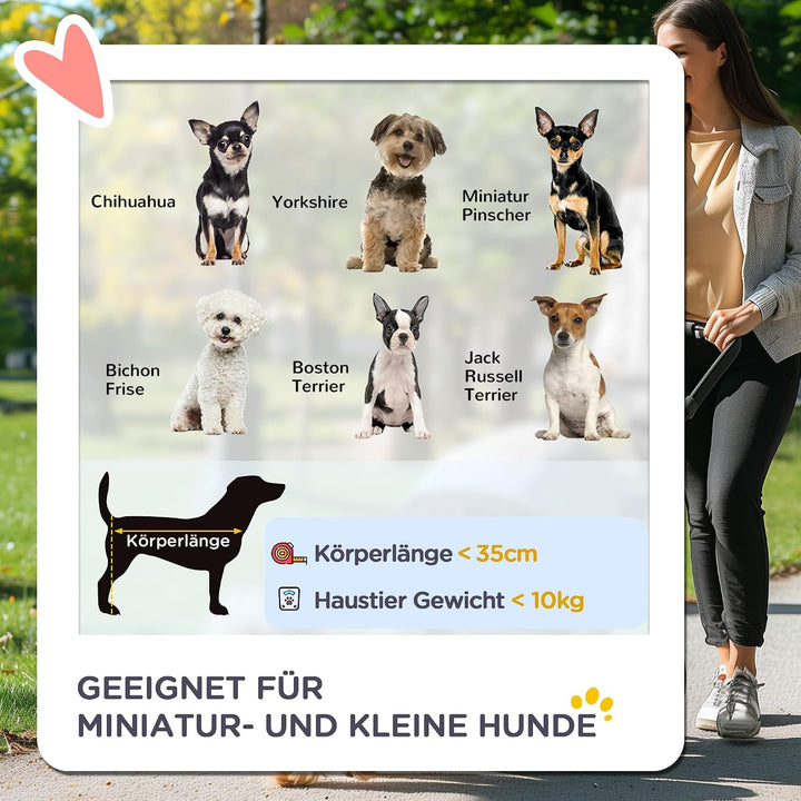 PawHut Hundewagen Hundebuggy klappbar für Hunde &amp; Katzen bis 10 kg Katzenbuggy mit Kissen Netzfenste