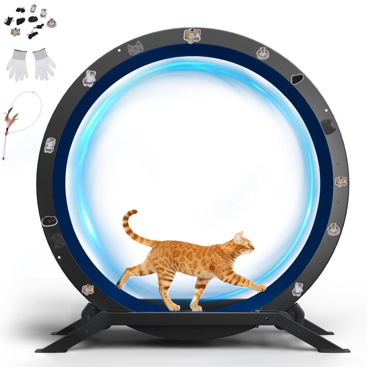 GTPLAYER Katzenlaufrad, laufrad Katze, Extra grosser 100 cm, ultraleises Laufrad mit Abnehmbarer Tep