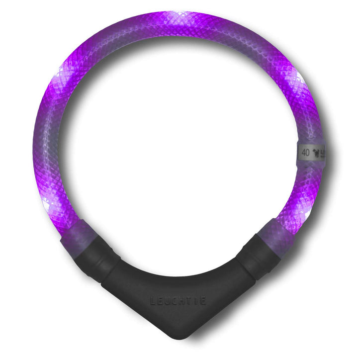 LEUCHTIE® Leuchthalsband Plus Lavendel Grösse 45 I LED Halsband für Hunde I 100 h Leuchtdauer I wass