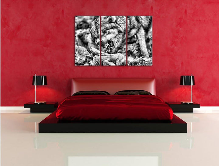 Pixxprint Monocrome, kämpfende Wölfe 3-Teiler Leinwandbild 120x80 Bild auf Leinwand
