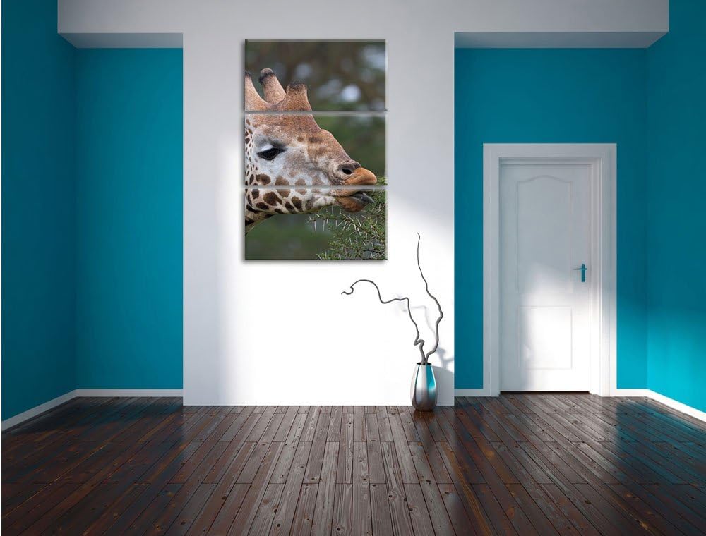 Pixxprint schöne Giraffe beim Fressen als Leinwandbild/Grösse: 3 Teilig (120x80) cm/Wandbild/Kunstdr