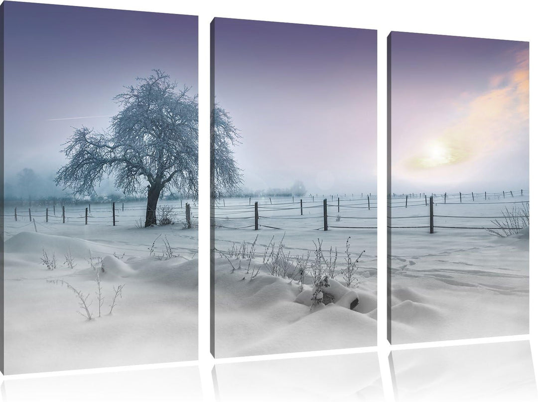 Pixxprint Einsamer Baum in Winterlandschaft schwarz/weiss 3-Teiler Leinwandbild 120x80 Bild auf Lein