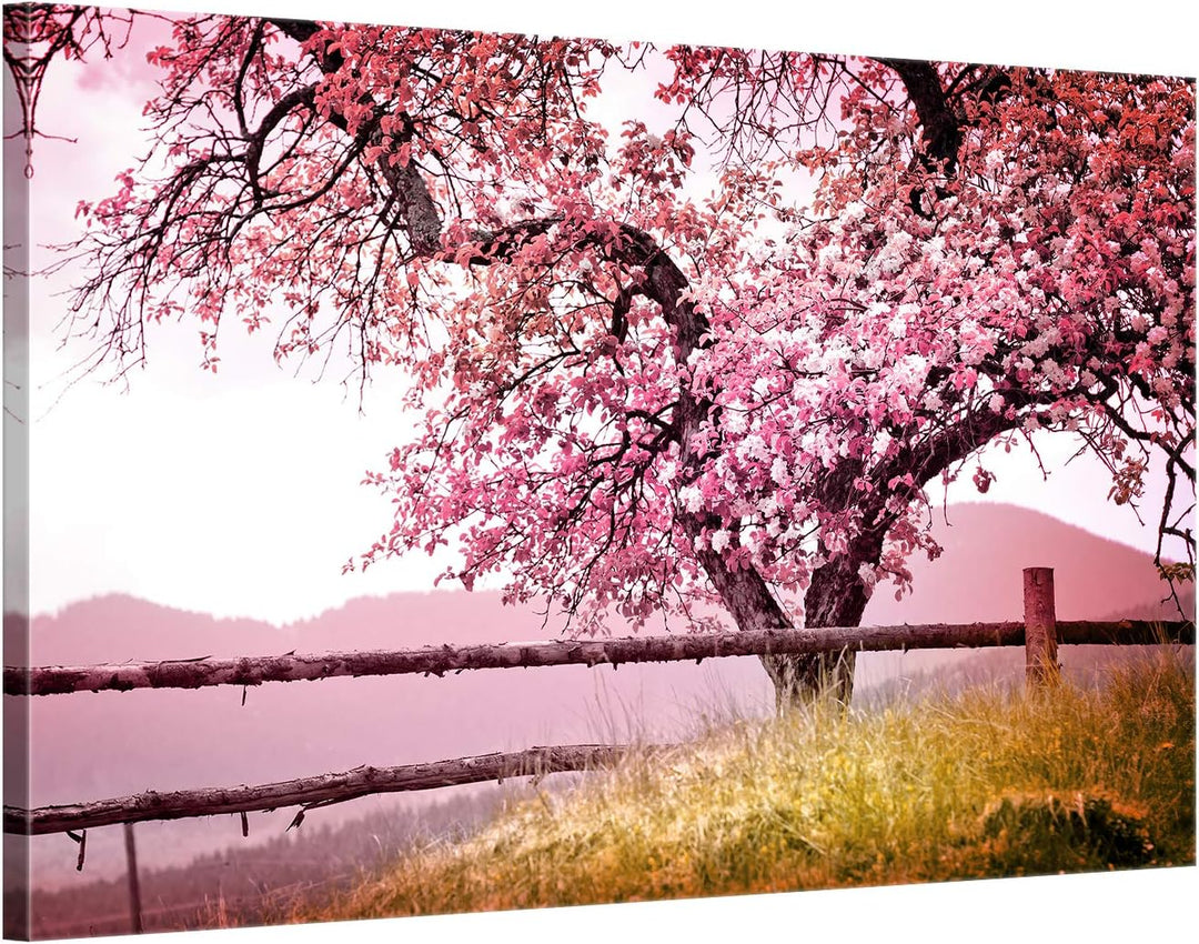 ge Bildet Bild auf Leinwand | Frühlingsbaum - Natur Baum Rosa Pink A in 70x50 cm als Wandbild | Wand