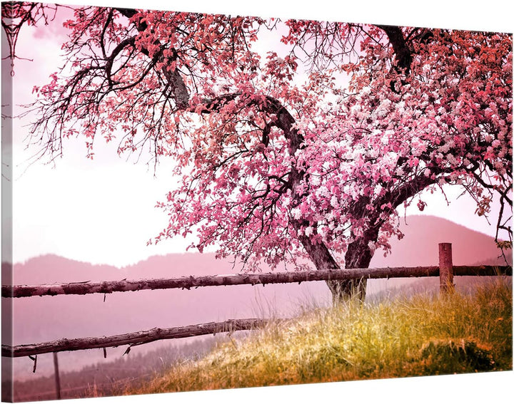 ge Bildet Bild auf Leinwand | Frühlingsbaum - Natur Baum Rosa Pink A in 70x50 cm als Wandbild | Wand