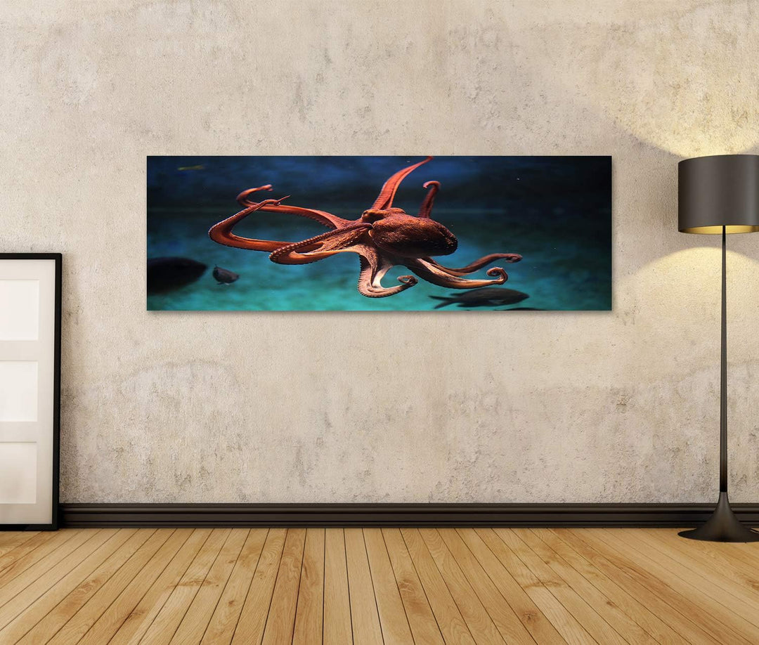 islandburner Bild auf Leinwand Gewöhnlicher Oktopus (Octopus Vulgaris) Wildlife Tier Bilder Wandbild