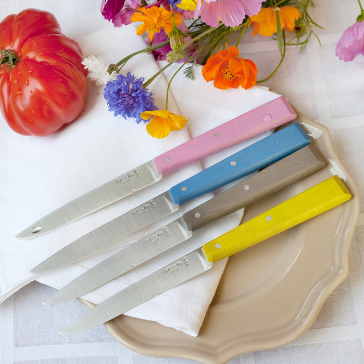 Opinel OP01533 Messersatz Esprit Champagne, versch. Farben Messer Set, Edelstahl, grau, M