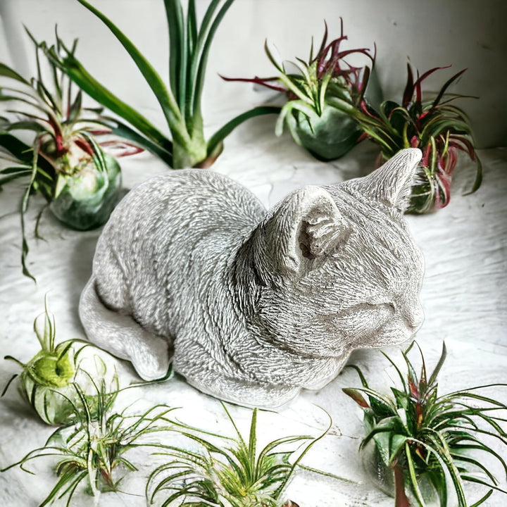 OriginalPaul Skulp & Betondesign Steinfigur Katze Mia für Garten und Terrasse aus frostsicherem Stei