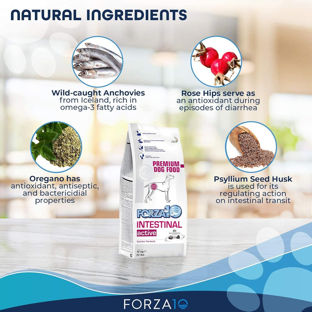 Forza10 Intestinal Active Trockenfutter für Hunden mit Magenschleimhautentzündung, 1er Pack (1 x 10