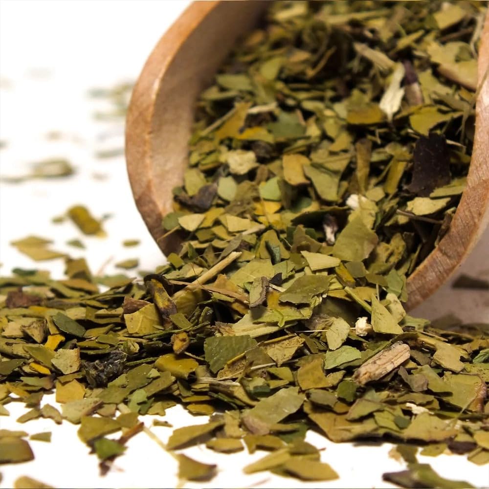 Mate Tee Bio Verde Mate Set 1,2kg - Brasilien Yerba Mate - 5mm Grobe Blätter - Luftgetrocknet Sin Hu