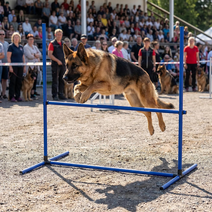 Agility Set Hürdenset Hundetraining Zubehör mit 4 Stück Hürden, Slalom Stangen Agility-Ausrüstung fü