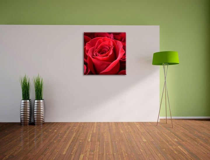Romantische Rosen, Format: 70x70 auf Leinwand, XXL riesige Bilder fertig gerahmt mit Keilrahmen, Kun