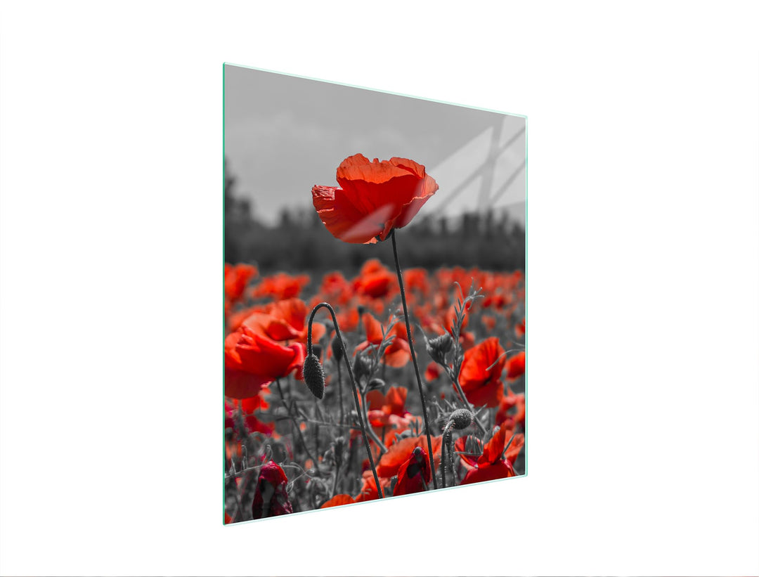 TMK ArtDeko Herdabdeckplatte 45x52 Einteilig Glas Induktion Herdschutz Spritzschutz Glasplatte Deko