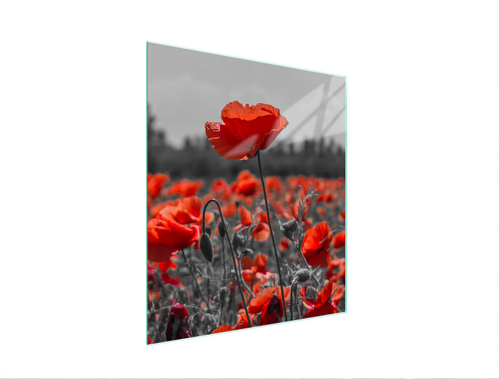 TMK ArtDeko Herdabdeckplatte 45x52 Einteilig Glas Induktion Herdschutz Spritzschutz Glasplatte Deko