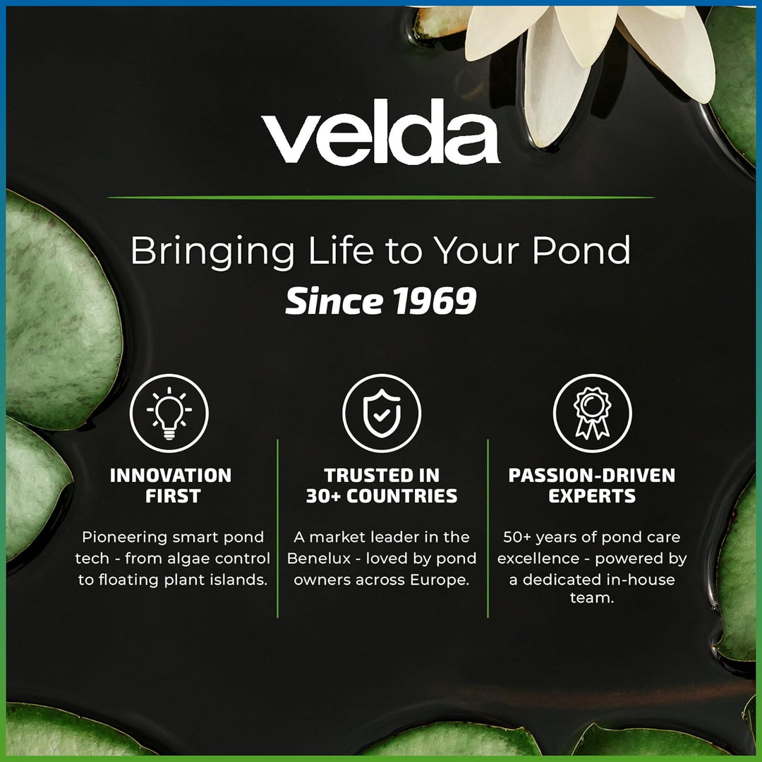 VT Econo Pond Pump 6000
