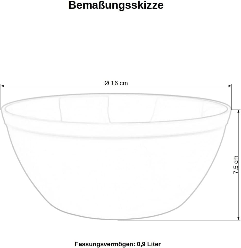 6er Set Schalen Müslischalen Dessertschalen Salatschale Suppenschale Reisschale Bowl bunt aus Kunsts