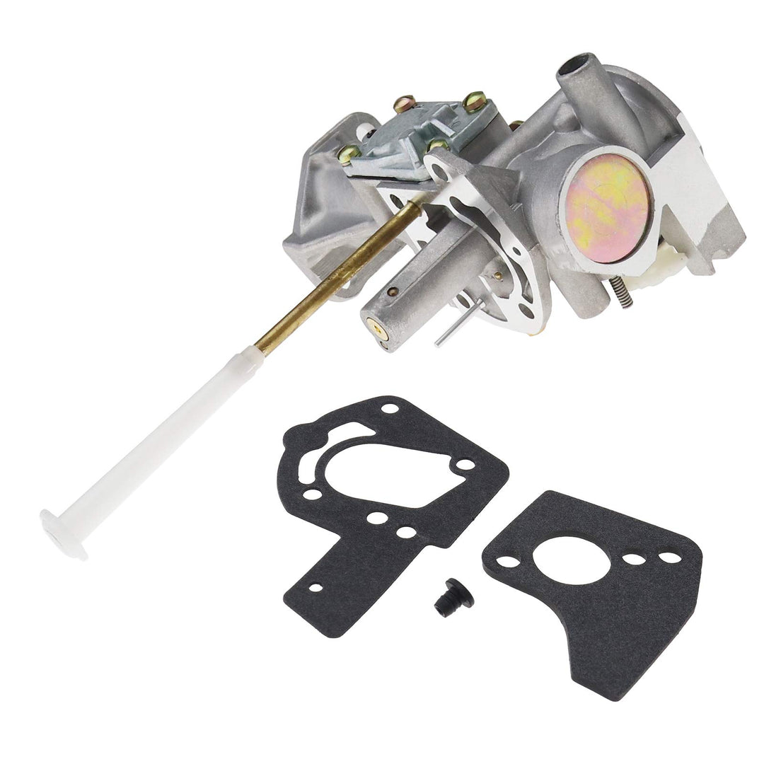 Vergaser und Dichtungen für Briggs Stratton Modell 135202, 135207, 135212