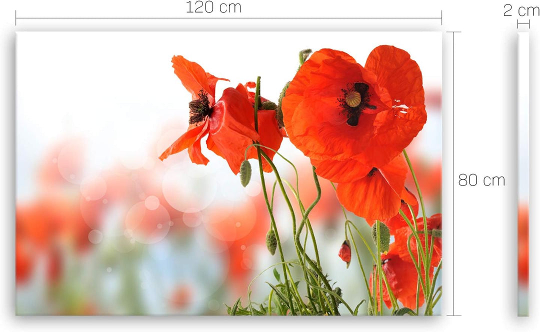 ge Bildet Bild auf Leinwand | Mohn - Blumen Rot Natur D in 120x80 cm als Wandbild XXL | Wand-deko De