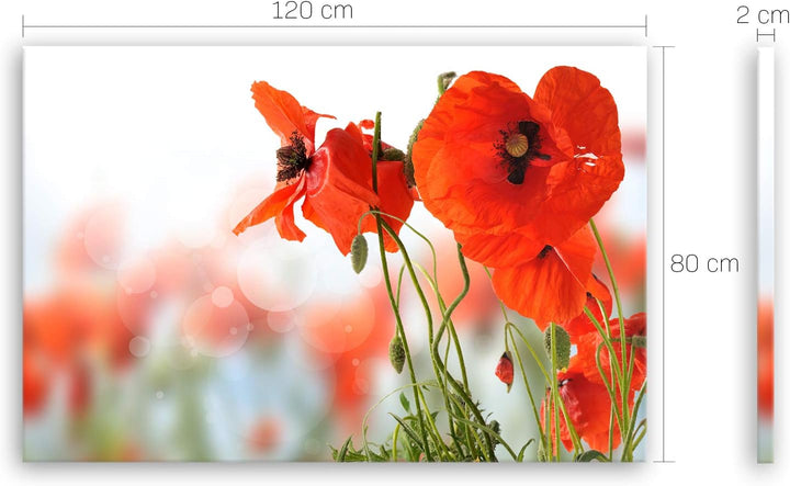 ge Bildet Bild auf Leinwand | Mohn - Blumen Rot Natur D in 120x80 cm als Wandbild XXL | Wand-deko De