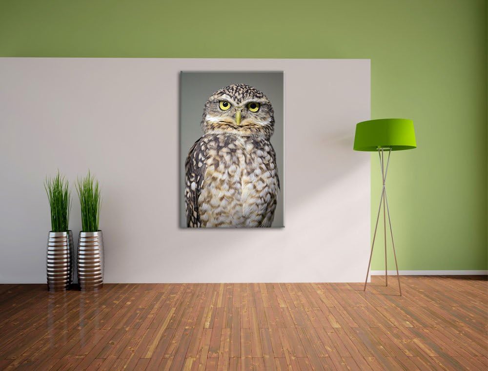 Pixxprint kleine Eule auf Leinwand, XXL riesige Bilder fertig gerahmt mit Keilrahmen, Kunstdruck auf