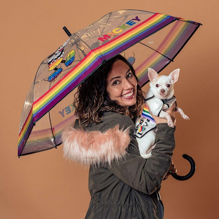 Cerdá - ForFanPets Hunde Zubehör | Disney Pride Regenmantel Hund Wasserdicht - Offizielle Disney Liz