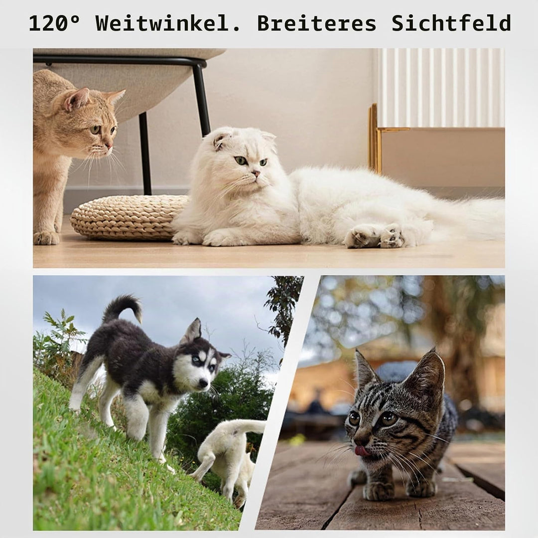 Fabater Katzenhalsband-Kamera, 1080P HD-Hunde-Tracker-Halsband, Mini-Action-Kamera für Videoaufzeich