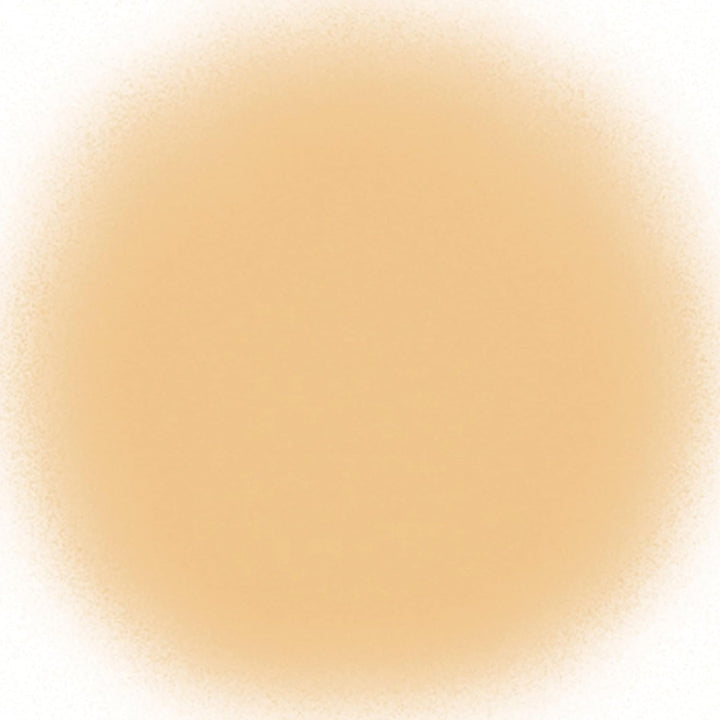 Temptu AIRpod Foundation (004 Sand), 004 Sand