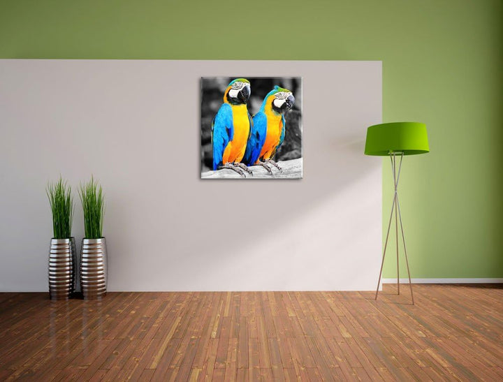 Zwei Papageien als Leinwandbild/Grösse: 70x70 cm/Wandbild/Kunstdruck/fertig bespannt, 70x70