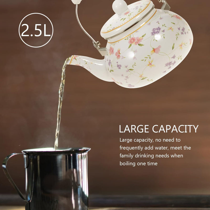 Vaguelly Wasserkessel Emaille Retro, 2500ml Teekanne Nostalgie Wasserkocher mit hitzbeständigem Kera
