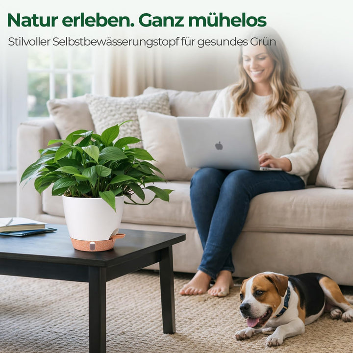 T4U 2er Set Automatische Bewässerung Übertopf 20 cm Durchmesser, Kräutertopf Küche, Kräutertöpfe – g