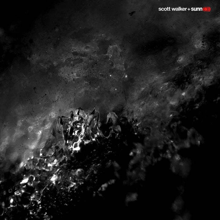 Soused, Vinyl