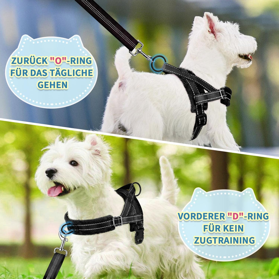 Hundegeschirr mit Leine für mittelgrosse Kleine Hunde, Weich gepolsterter No-Pull Brustgeschirr mit