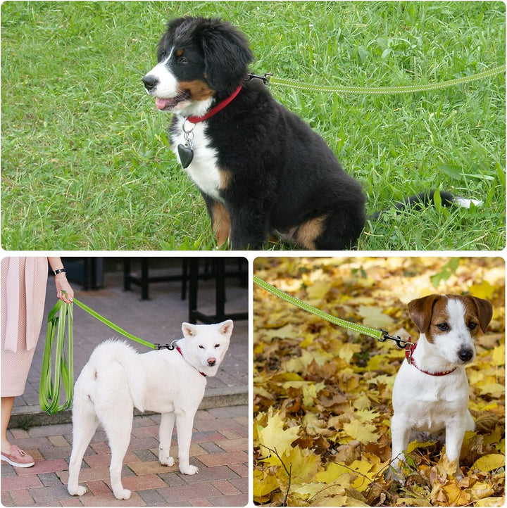 Demigreat Schleppleine für Hunde, 3m / 5m / 10m / 15m / 20m Robuste Lange Hundeleine Reflektierend T