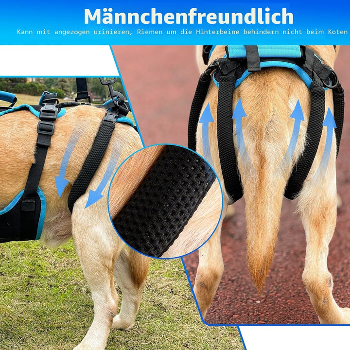 Hundeliftharnisch für grosse Rüden – 2-in-1 abnehmbares Hundetragegeschirr mit Hebegriffen für die H