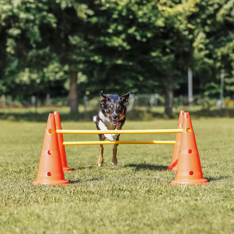 Trixie 32091 Dog Activity Hindernisse, 3 St., ø 23 × 30 cm/78 cm, orange/gelb, 3 St., ø 23 × 30 cm/7