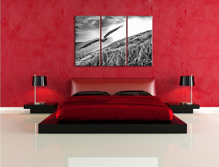 Pixxprint Majestätischer Weisskopfseeadler als Leinwandbild/Grösse: 3 Teilig (120x80) cm/Wandbild/Ku