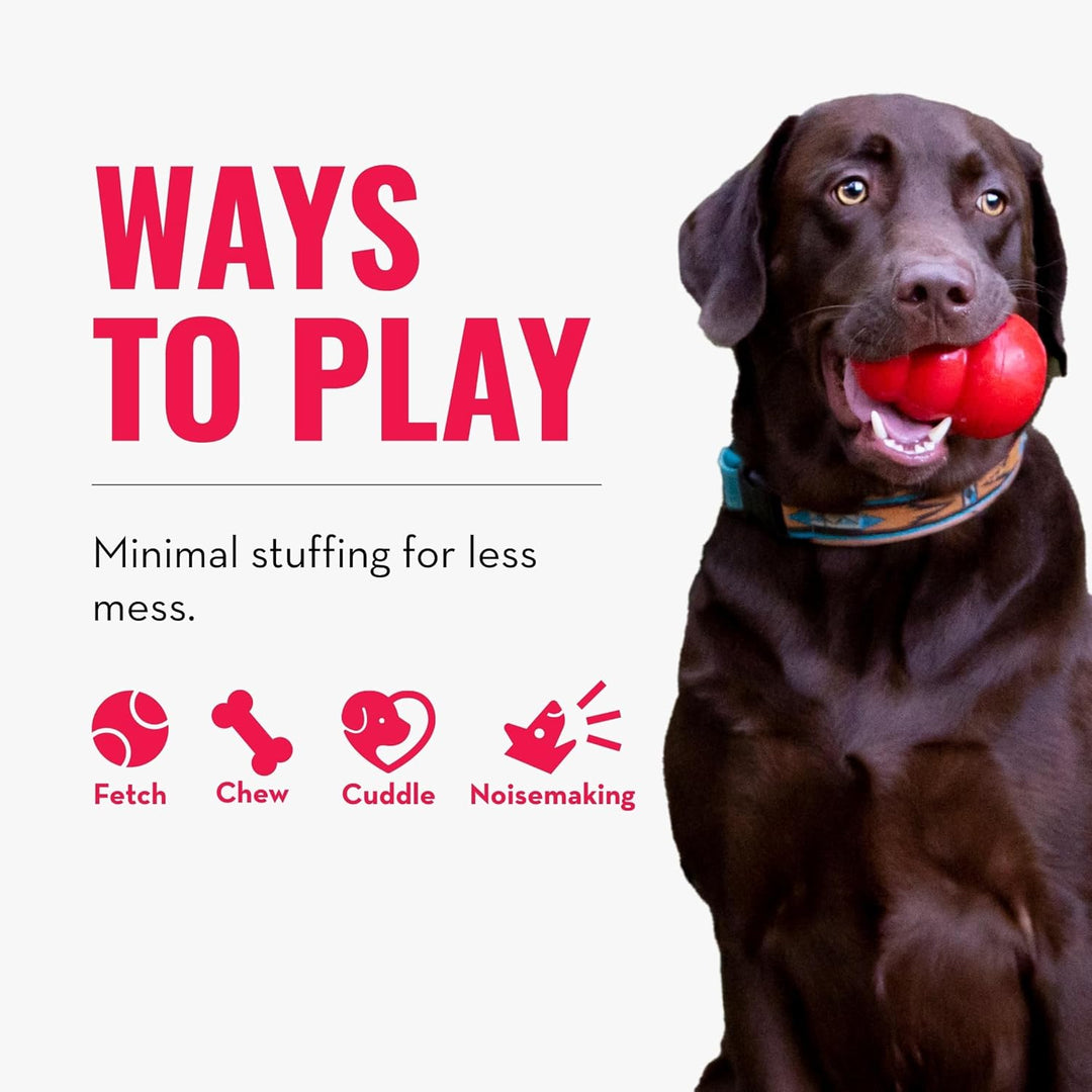 KONG Wild Knots Bear - Hundespielzeug aus Geknotetem Seil - Minimale Füllung - Für Kleine/Mittelgros