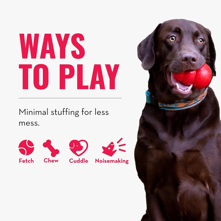 KONG Wild Knots Bear - Hundespielzeug aus Geknotetem Seil - Minimale Füllung - Für Kleine/Mittelgros