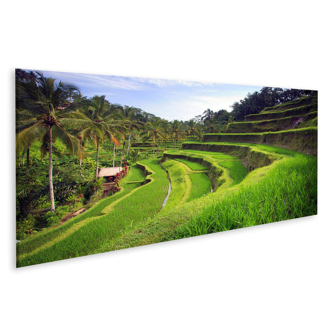 Bild auf Leinwand Terrasse Reisfelder In Tegallalang Ubud Auf Bali Indonesien Wandbild Poster Kunstd
