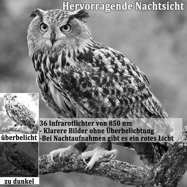 Wildkamera, 4K 50MP Wildtierkamera mit Bewegungsmelder Nachtsicht, IP65 Wasserdicht, Weitwinkel 120