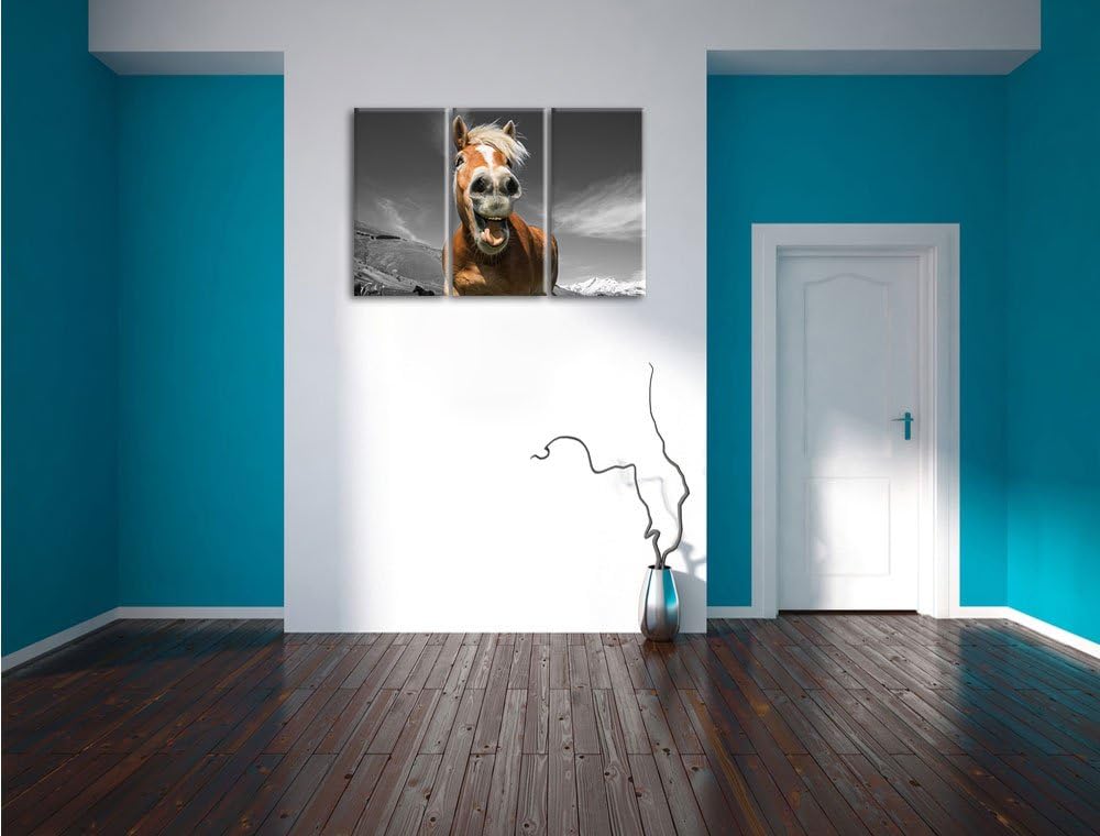 Pixxprint Lustiges Pferd in der Natur B&W Detail 3-Teiler Leinwandbild 120x80 Bild auf Leinwand