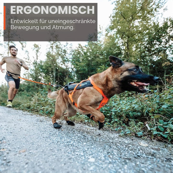 Non-stop dogwear FREEMOTION Harness 5.0 |111| Hundegeschirr für alle Sportarten, Grösse:5, 5